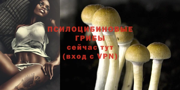 прущие грибы Михайловск