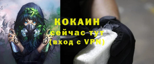 эйфоретик Аша