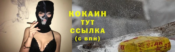 прущие грибы Михайловск