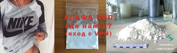 прущие грибы Михайловск