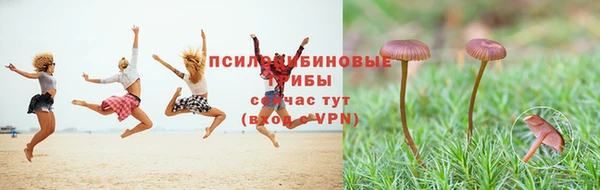 амф Михайловка
