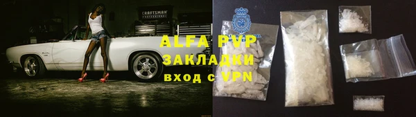 прущие грибы Михайловск