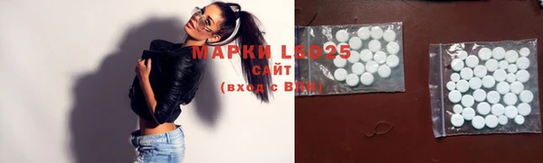 индика Елизово