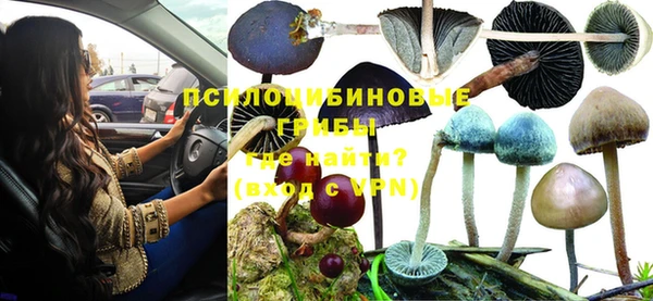 амф Михайловка