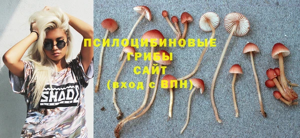 гидропоника Михайлов