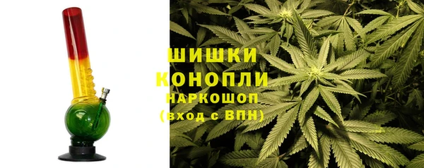 прущие грибы Михайловск