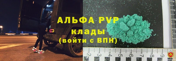 прущие грибы Михайловск