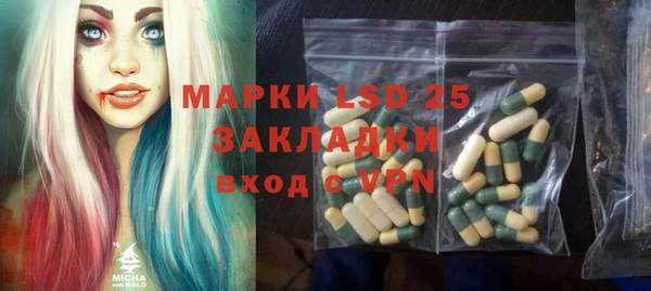 прущие грибы Михайловск