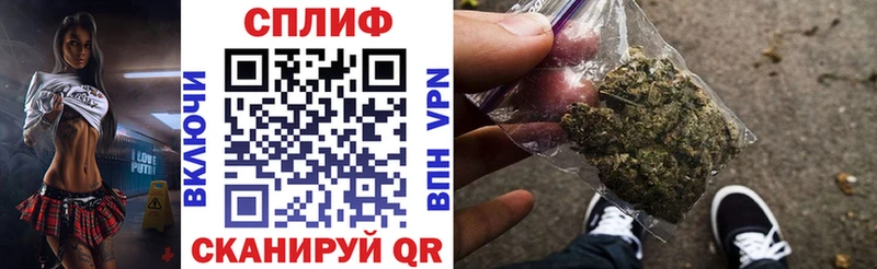 Шишки марихуана план Ермолино